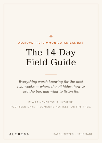 What to Expect — Your First 14 Days
