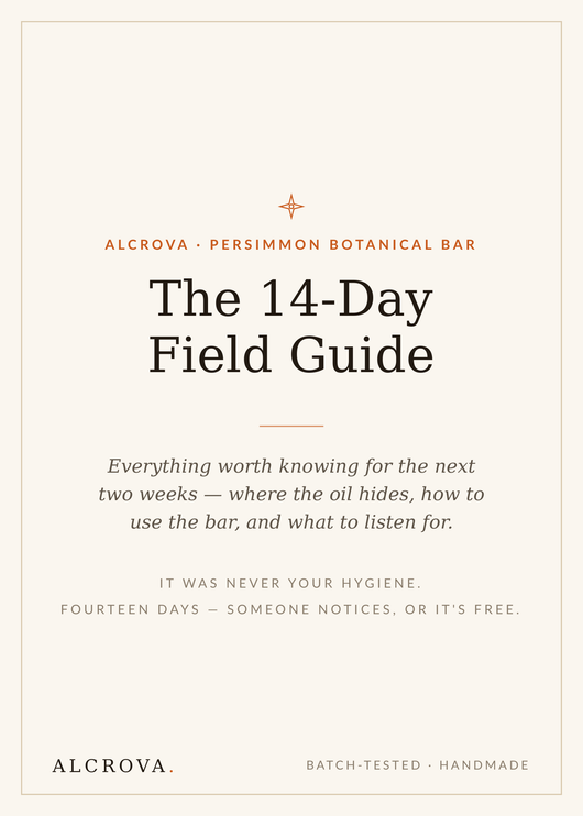What to Expect — Your First 14 Days