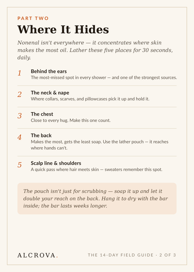 What to Expect — Your First 14 Days