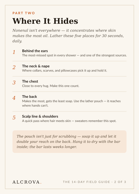 What to Expect — Your First 14 Days