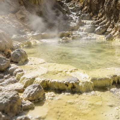 Sulphur Spring Extract