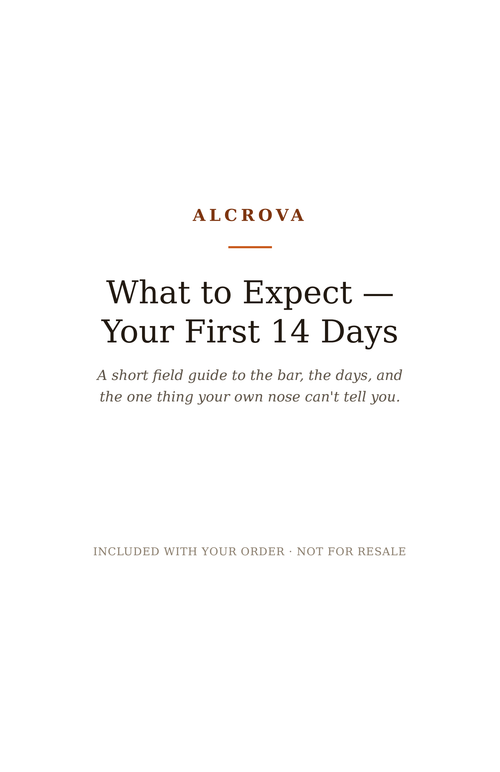 What to Expect — Your First 14 Days